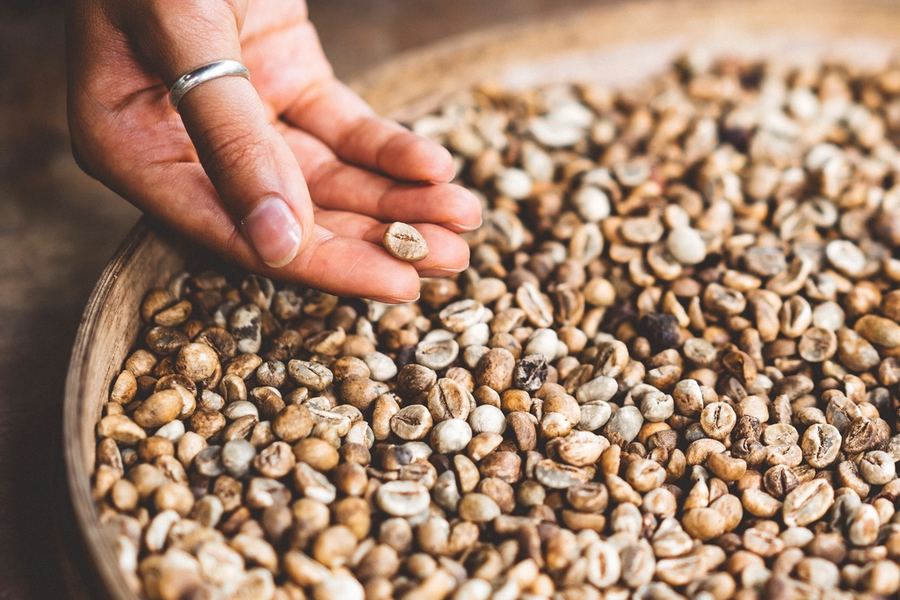 Green Coffee Beans
